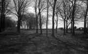 MinoxGTS-Aviphot-20220502-034.jpg MinoxGTS-Aviphot-20220502-034.jpg