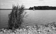 MinoxGTX-20210719-039.jpg
