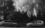 MinoxGTX-A125-20210719-037.jpg