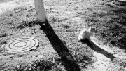 Negative0-13-13_1_2.jpg