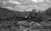 NikonosV-Aviphot-20220503-004.jpg
