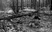 NikonosV-Aviphot-20220503-033.jpg NikonosV-Aviphot-20220503-033.jpg