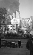 NikonosV-Type42-d23-20240107-012.jpg NikonosV-Type42-d23-20240107-012.jpg
