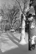 OlympusMjuII-20180215-001.jpg