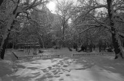 OlympusMjuII-20180215-004.jpg