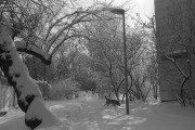 OlympusMjuII-20180215-008.jpg