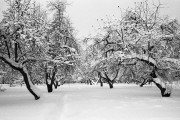 OlympusMjuII-20180215-013.jpg