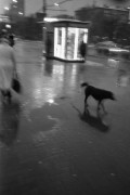 OlympusXA4-20161229-010.jpg OlympusXA4-20161229-010.jpg