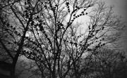 OlympusXA4-20180101-005.jpg