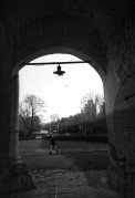 OlympusXA4-A125-20201008-034.jpg OlympusXA4-A125-20201008-034.jpg