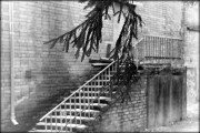 PC037196.JPG PC037196.JPG