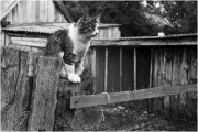 Scan-120904-0009.jpg