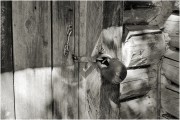 Scan-140624-0001.jpg
