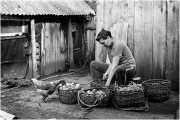 Scan-141003-0004.jpg