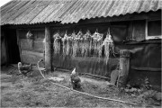 Scan-150918-0001.jpg