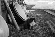 Scan-150925-000-11-1.jpg