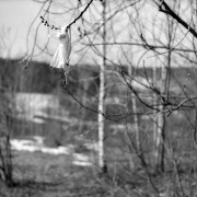 Scan-160331-0001.jpg