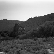 SuperIkonta-Tessar80-Neopan-20180609-011.jpg SuperIkonta-Tessar80-Neopan-20180609-011.jpg
