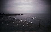 Untitled-31-19.jpg