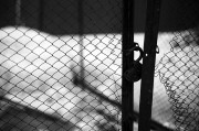 Untitled-504.jpg