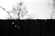 Untitled-549.jpg