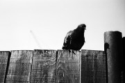 Untitled-552.jpg