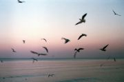 Untitled-Scanned-24d2.jpg
