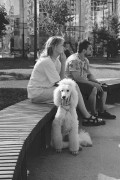 Untitled_1150_.jpg