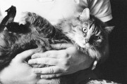 Untitled_1174_.jpg
