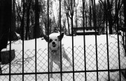 Untitled_4_6.jpg