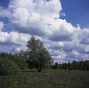 VoigtPerkeo-CSkopar80mm-Portra160-20200610-_006.jpg