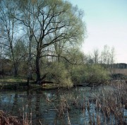 VoigtlanderPerkeo-ColorSkopar-Aerocolor-20210512-002.jpg