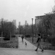 VoigtlanderPerkeo-ColorSkopar-Retropan320-20211205-009.jpg VoigtlanderPerkeo-ColorSkopar-Retropan320-20211205-009.jpg