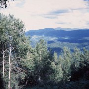 VoigtlanderPerkeo-ColorSkopar80-20220908-089.jpg VoigtlanderPerkeo-ColorSkopar80-20220908-089.jpg