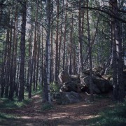 VoigtlanderPerkeo-ColorSkopar80-20220908-090.jpg VoigtlanderPerkeo-ColorSkopar80-20220908-090.jpg