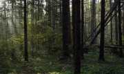 VoigtlanderVitoII-ColorScopar-KodakUltramax400-20211005-017.jpg VoigtlanderVitoII-ColorScopar-KodakUltramax400-20211005-017.jpg