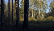 VoigtlanderVitoII-ColorScopar-KodakUltramax400-20211005-021.jpg VoigtlanderVitoII-ColorScopar-KodakUltramax400-20211005-021.jpg