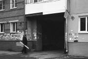 VoigtlanderVitoII-ColorSkopar-20250501-023.jpg VoigtlanderVitoII-ColorSkopar-20250501-023.jpg