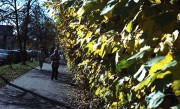 VoigtlanderVitoII-ColorSkopar-Aerocolor-008.jpg