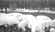 VoigtlanderVitoII-IlfordHP5-20220105-023.jpg VoigtlanderVitoII-IlfordHP5-20220105-023.jpg