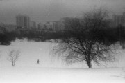 WollensakVelostigmat2inch-IlfordPan400-20220106-003.jpg WollensakVelostigmat2inch-IlfordPan400-20220106-003.jpg