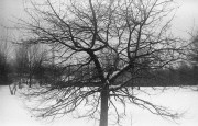 WollensakVelostigmat2inch-IlfordPan400-20220106-006.jpg WollensakVelostigmat2inch-IlfordPan400-20220106-006.jpg