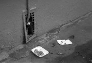 ZK-20131223-013.jpg