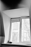 ZORKIY_6_FOMAPAN_100_RDL-LQ_1-50_9_min_04_2018_20_.jpeg