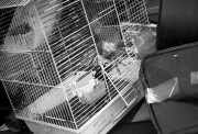 Zor6_I50_2021-12-31-0002_s.jpg Zor6_I50_2021-12-31-0002_s.jpg