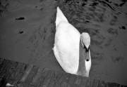 Zor6_I50_2021-12-31-0004_s.jpg Zor6_I50_2021-12-31-0004_s.jpg