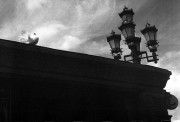 ZorkyZK-20150621-032.jpg