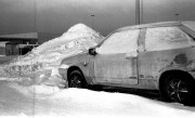 ZorkyZK-20160121-003.jpg