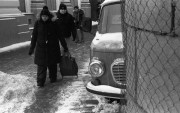 ZorkyZK-20160121-031.jpg