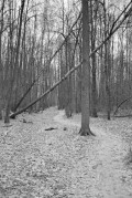 a125_hc110b7minScan-181121-0011_copy.jpg